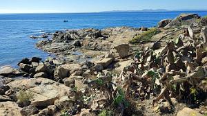 Rosas - Le Phare - 30